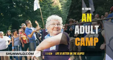 Adult Camps: Rediscover Adventure, Relaxation, and Fun Beyond Childhood