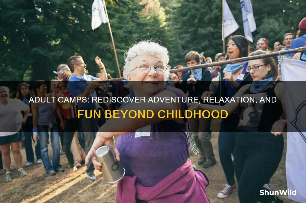 is there an adult camp