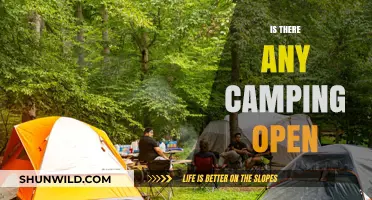Discover Open Camping Sites Near You: Your Ultimate Outdoor Adventure Guide