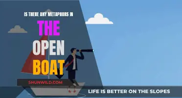 Metaphorical Voyage: Uncovering Hidden Meanings in "The Open Boat