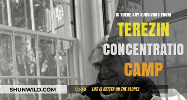 Survivors of Terezin: Stories of Resilience and Hope