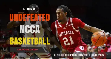 The Unbeaten NCAA Basketball Teams: Who Are They?