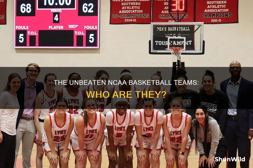 is there any undefeated ncca basketball