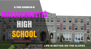 Badminton in Massachusetts High Schools: Is It Played?