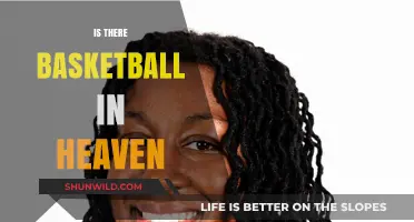 Heavenly Hoops: Basketball in the Afterlife?
