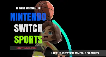Basketball in Nintendo Switch Sports: Is It There?