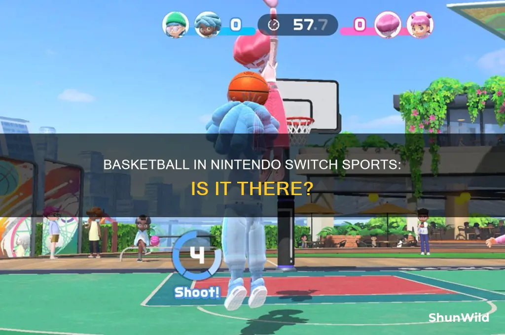 is there basketball in nintendo switch sports