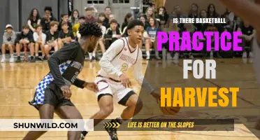 Practice Sessions for Harvest Basketball Tournament