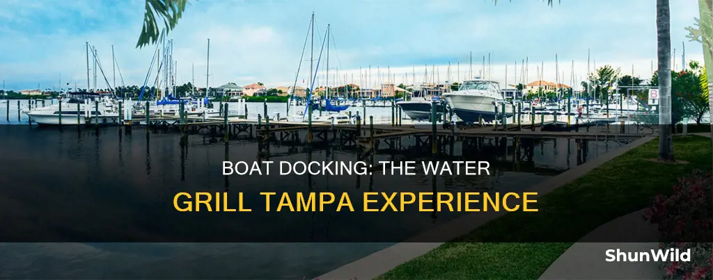 is there boat docking at thewtr grill in tampa