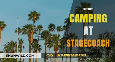 Camping at Stagecoach: What You Need to Know Before You Go