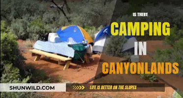 Exploring Canyonlands: Discover Camping Options in Utah's Iconic Park