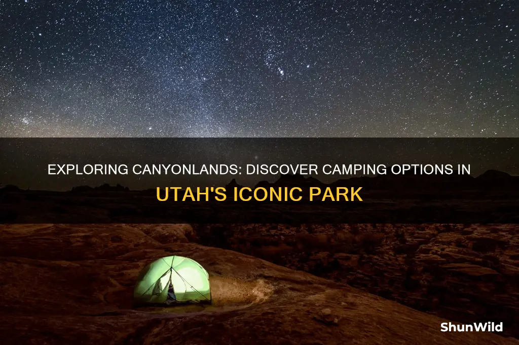 is there camping in canyonlands