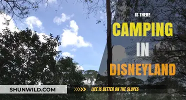 Camping in Disneyland: Exploring Unique Overnight Options at the Park