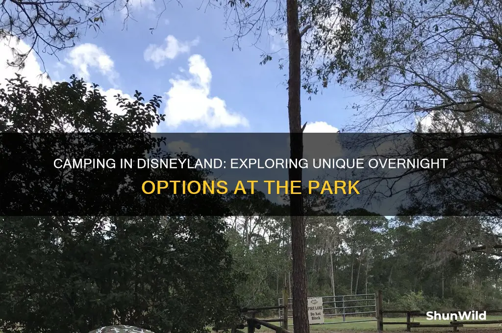 is there camping in disneyland