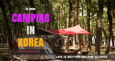 Exploring Korea's Great Outdoors: Camping Options and Top Spots