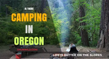 Exploring Oregon's Campsites: A Guide to Camping in the Beaver State
