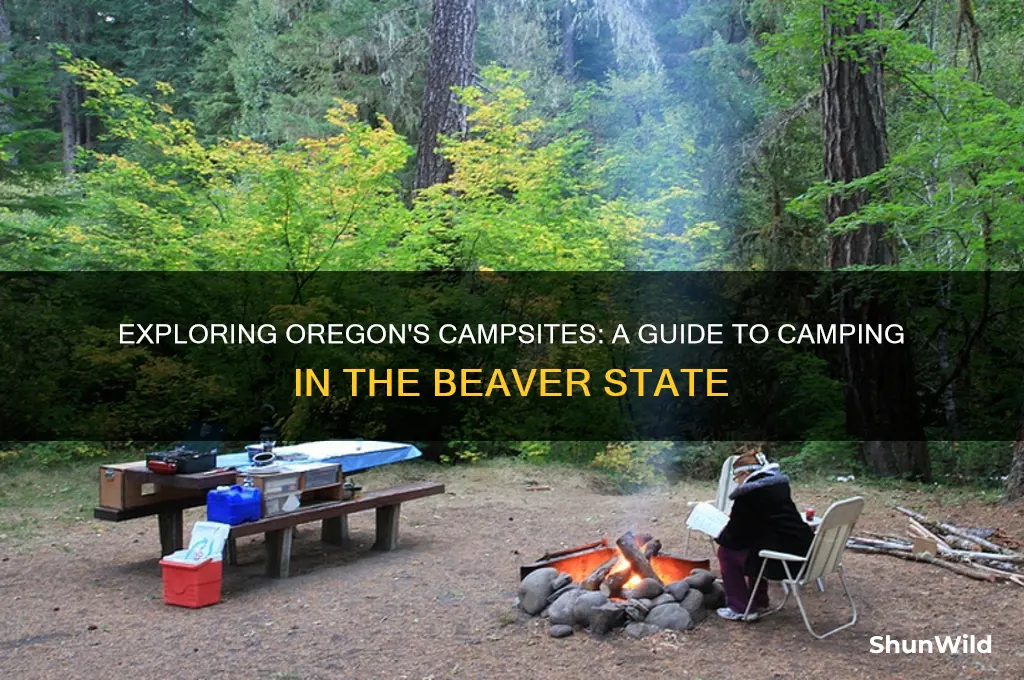is there camping in oregon