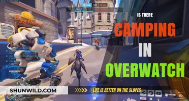 Exploring Overwatch: Does the Game Offer Camping Opportunities?