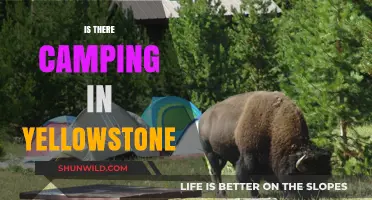 Exploring Yellowstone: Discover Camping Options in America's First National Park