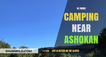 Camping Near Ashokan: Discover the Best Outdoor Spots Nearby