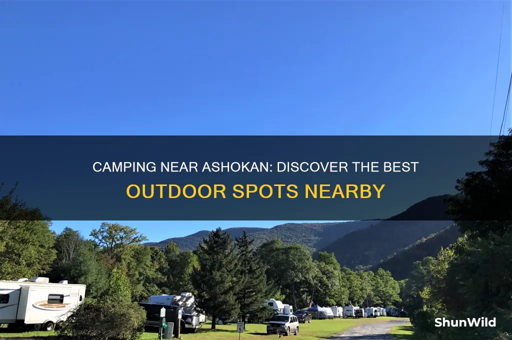 is there camping near ashokan