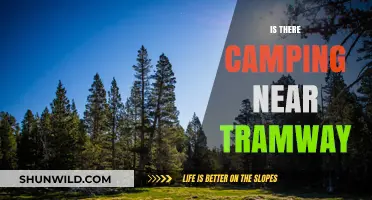 Camping Near Tramway: Discover Nearby Outdoor Adventures and Sites