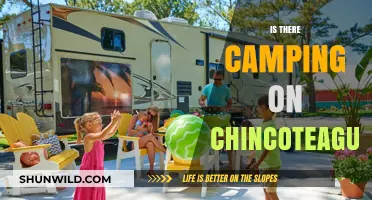 Exploring Chincoteague: Camping Options and Outdoor Adventures Await