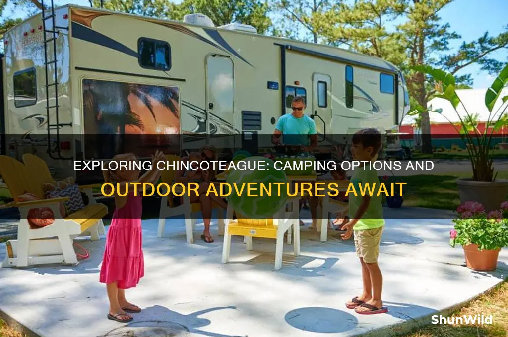 is there camping on chincoteague