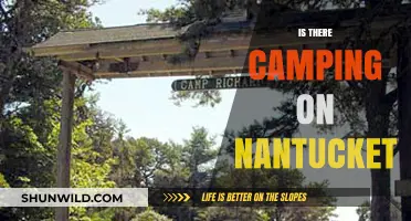 Exploring Nantucket: Camping Options and Outdoor Adventures on the Island