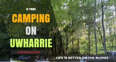 Exploring Uwharrie: Discover Camping Options in North Carolina's Hidden Gem