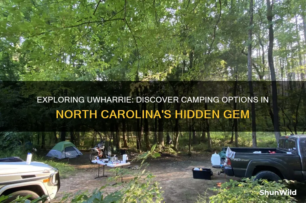 is there camping on uwharrie