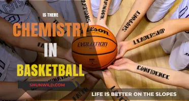 Basketball Chemistry: The Science of Success