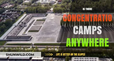 Do Concentration Camps Still Exist in the Modern World?