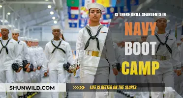 Do Navy Boot Camps Have Drill Sergeants? The Truth Revealed
