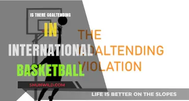 Goaltending: International Basketball's Unique Feature
