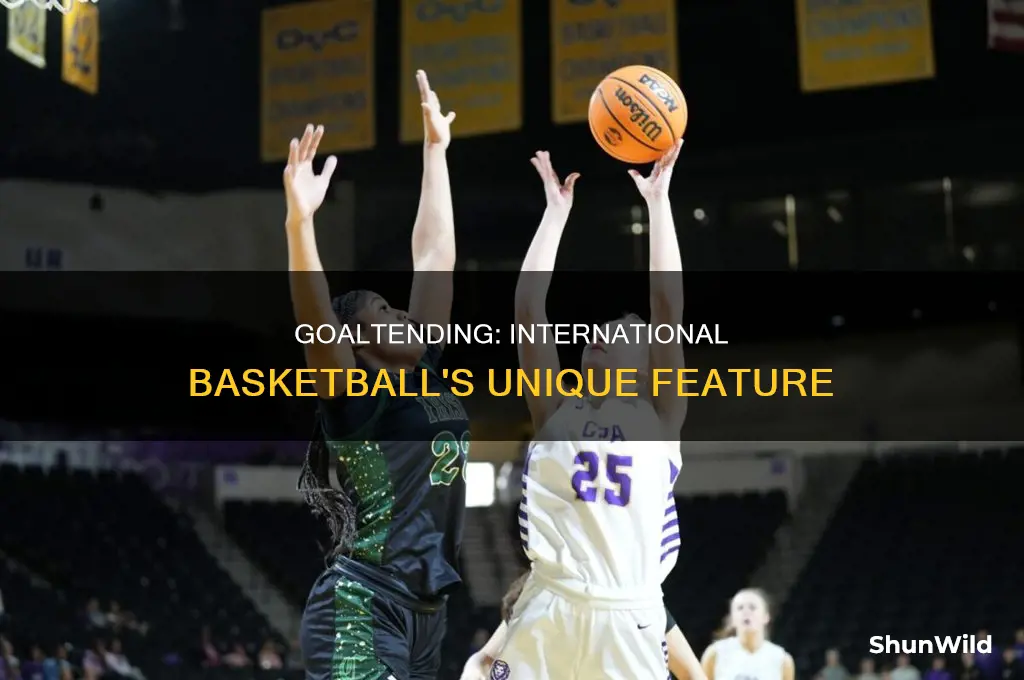 is there goaltending in international basketball