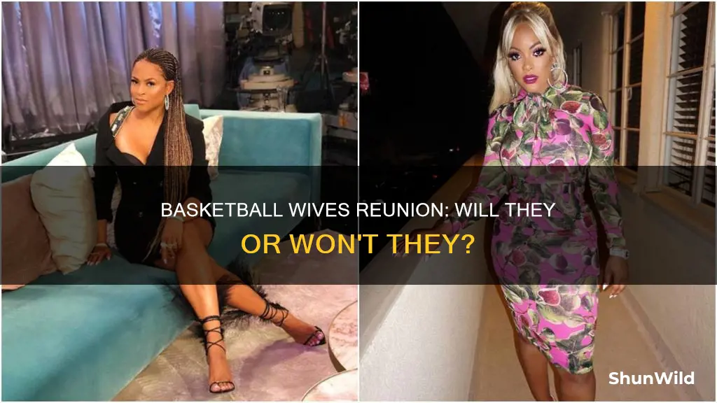 is there going to be a basketball wives reunion