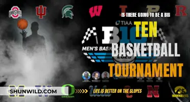 Big Ten Basketball Tournament: Will It Happen?