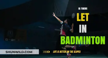 Badminton's Let: What, When, and Why?