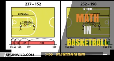 Math in Basketball: The Science Behind the Sport