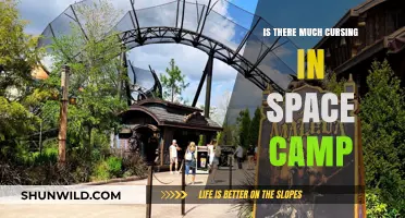 Cursing in Space Camp: Fact or Fiction? Exploring the Reality