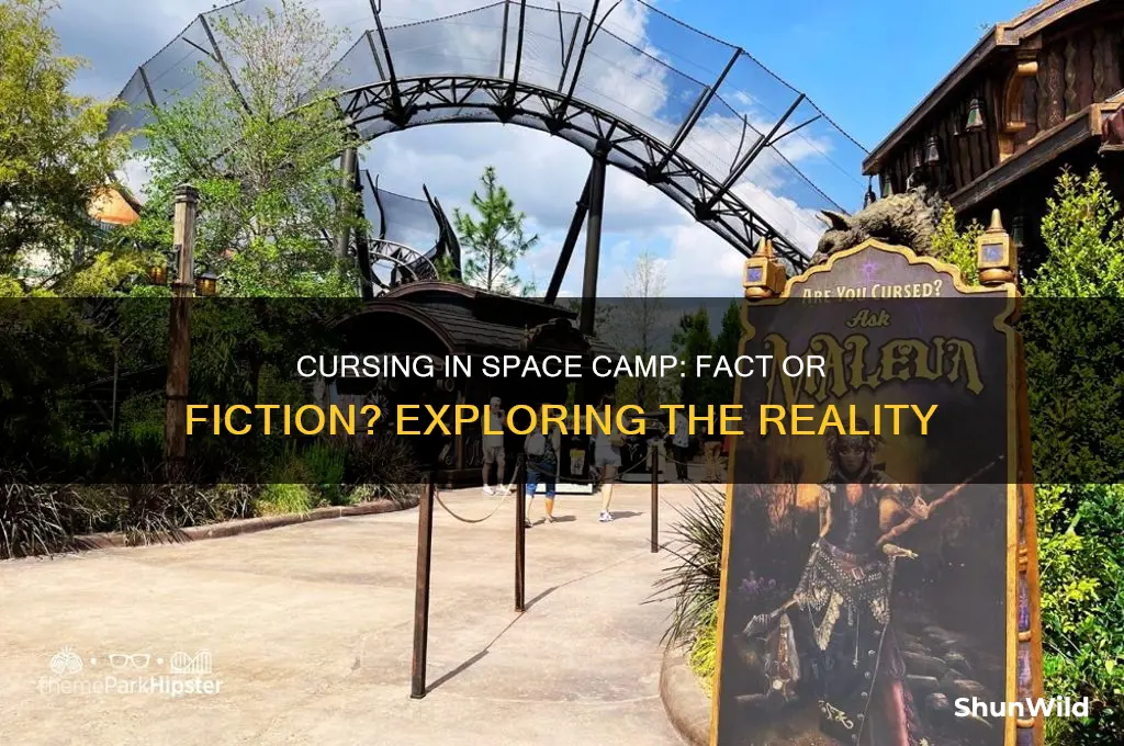 is there much cursing in space camp