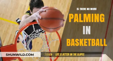The Art of Palming: A Lost Basketball Skill?