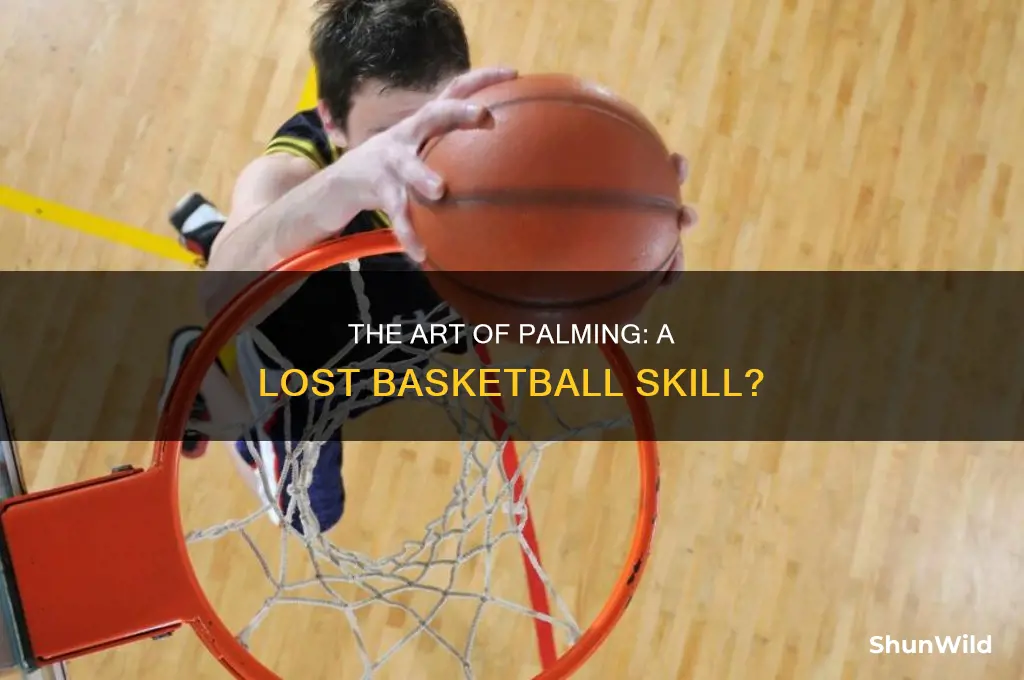 is there no more palming in basketball