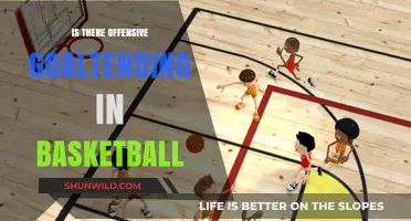 Goaltending in Basketball: Foul or Fair Play?