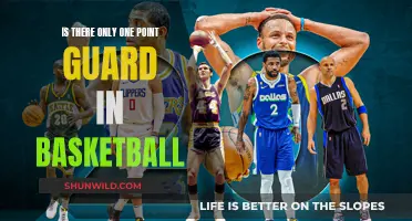Point Guard: Basketball's Lone Wolf or Pack Leader?