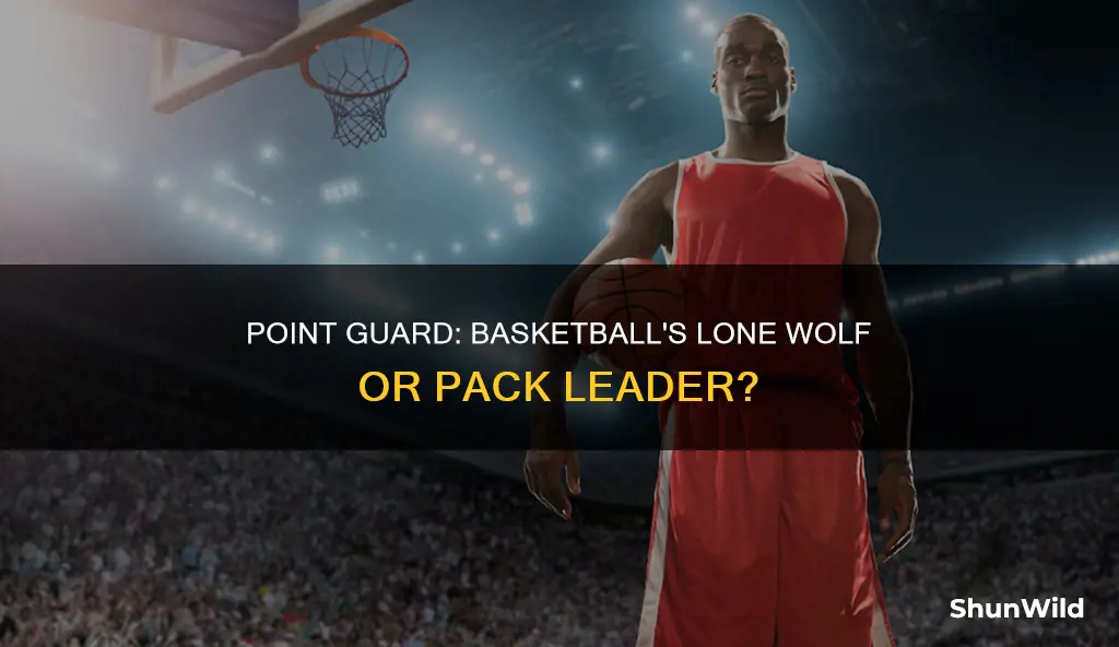 is there only one point guard in basketball