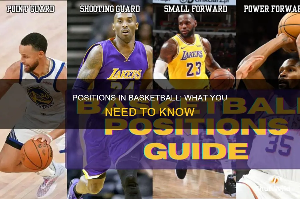 is there positions in basketball