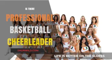Cheerleading: Basketball's Professional Cheer Squad