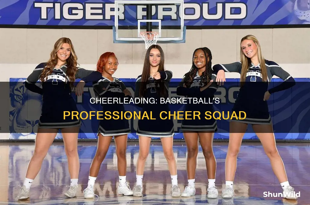 is there professional basketball cheerleader